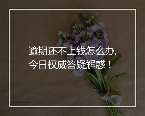 逾期还不上钱怎么办,今日权威答疑解惑！