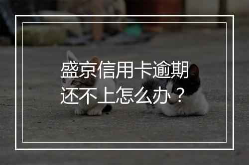 盛京信用卡逾期还不上怎么办？