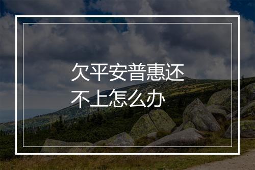 欠平安普惠还不上怎么办