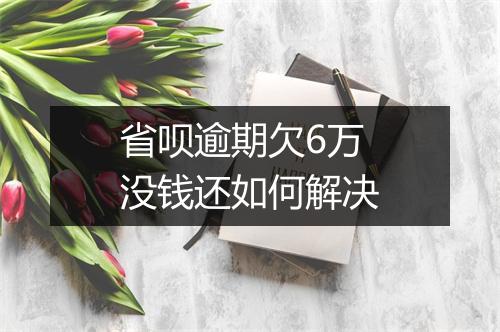 省呗逾期欠6万没钱还如何解决
