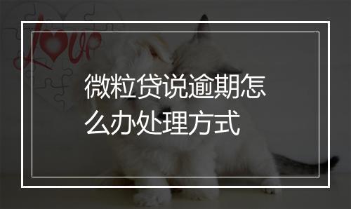 微粒贷说逾期怎么办处理方式