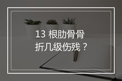 13 根肋骨骨折几级伤残？