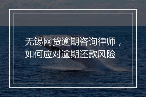 无锡网贷逾期咨询律师，如何应对逾期还款风险