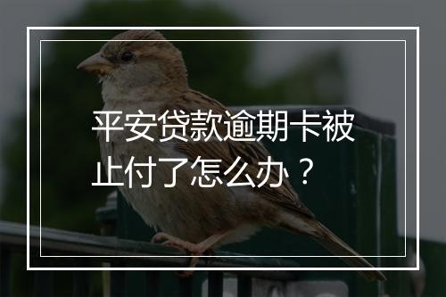 平安贷款逾期卡被止付了怎么办？