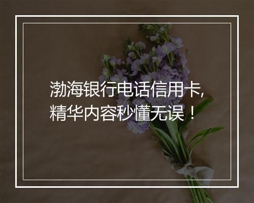 渤海银行电话信用卡,精华内容秒懂无误！