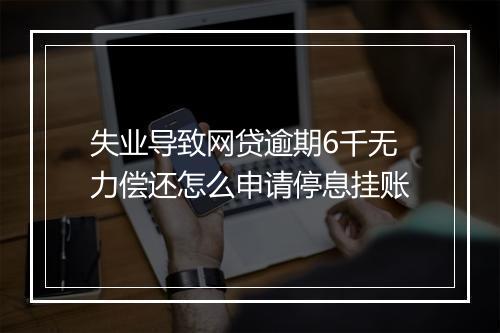 失业导致网贷逾期6千无力偿还怎么申请停息挂账