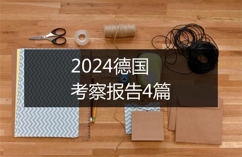 2024德国考察报告4篇