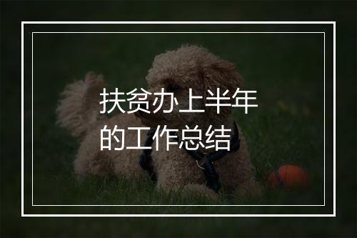 扶贫办上半年的工作总结