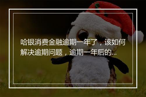 哈银消费金融逾期一年了，该如何解决逾期问题，逾期一年后的后果