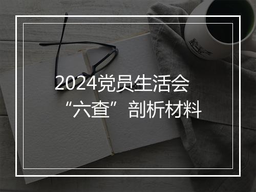 2024党员生活会“六查”剖析材料