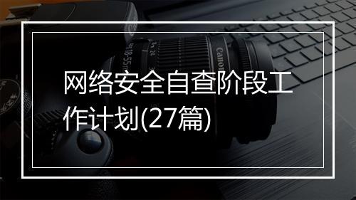 网络安全自查阶段工作计划(27篇)