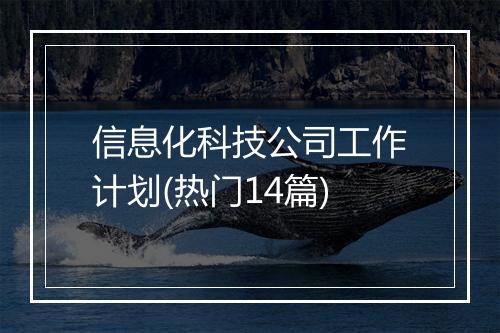 信息化科技公司工作计划(热门14篇)
