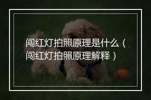 闯红灯拍照原理是什么（闯红灯拍照原理解释）