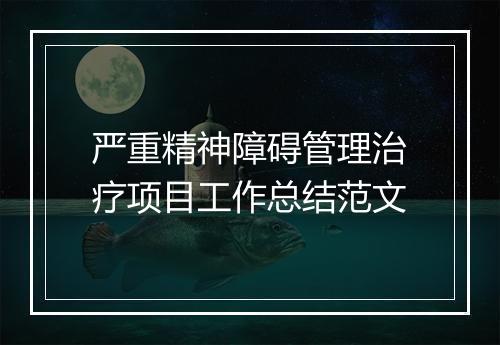 严重精神障碍管理治疗项目工作总结范文