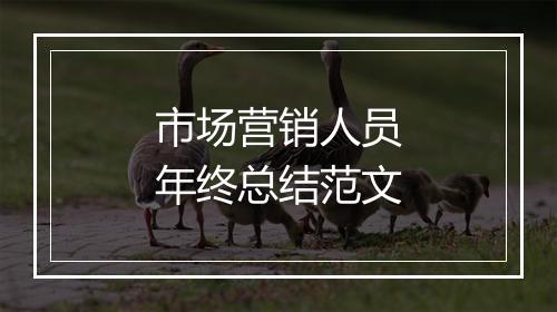 市场营销人员年终总结范文