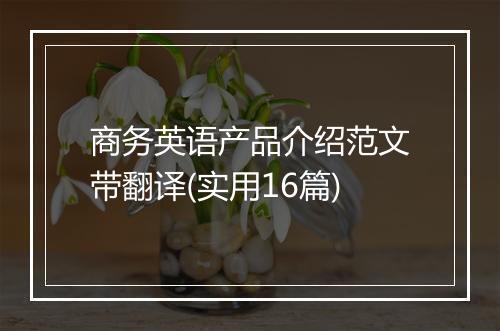 商务英语产品介绍范文带翻译(实用16篇)