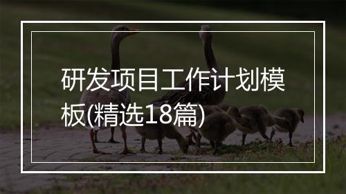 研发项目工作计划模板(精选18篇)