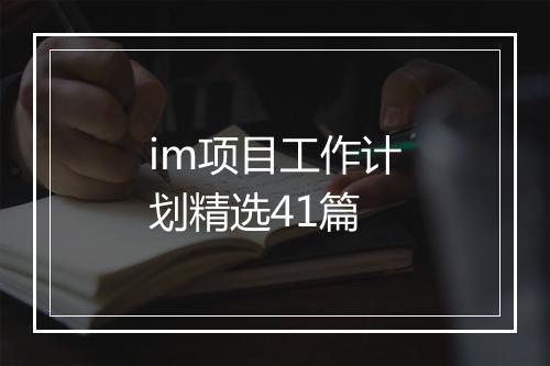 im项目工作计划精选41篇