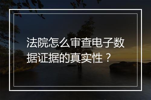 法院怎么审查电子数据证据的真实性？