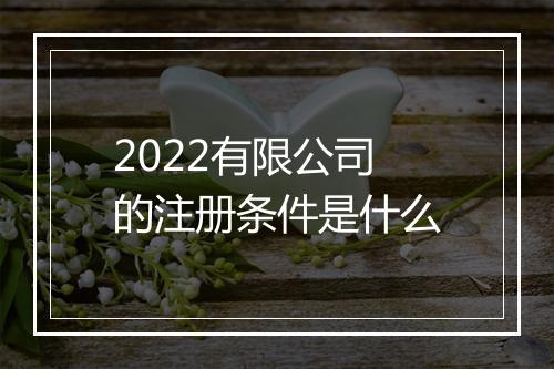 2022有限公司的注册条件是什么