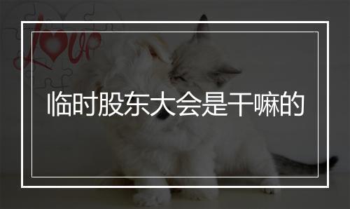 临时股东大会是干嘛的