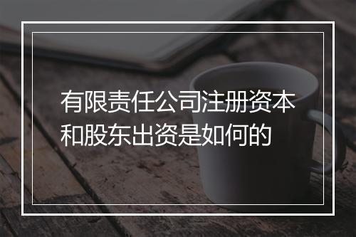 有限责任公司注册资本和股东出资是如何的