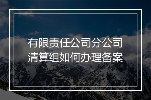 有限责任公司分公司清算组如何办理备案
