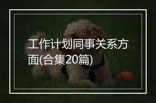 工作计划同事关系方面(合集20篇)