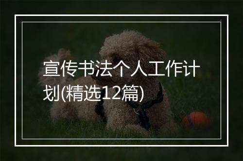 宣传书法个人工作计划(精选12篇)