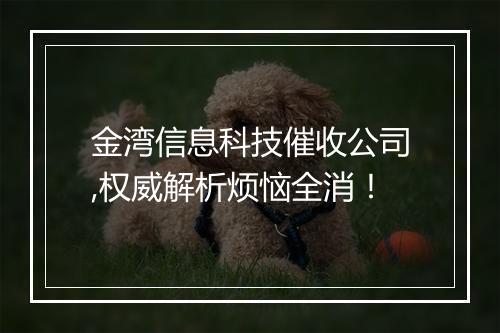 金湾信息科技催收公司,权威解析烦恼全消！