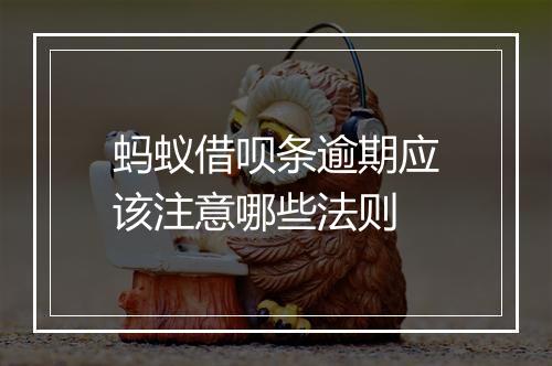 蚂蚁借呗条逾期应该注意哪些法则
