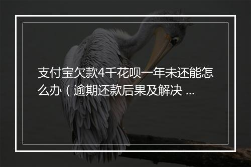 支付宝欠款4千花呗一年未还能怎么办（逾期还款后果及解决 ）