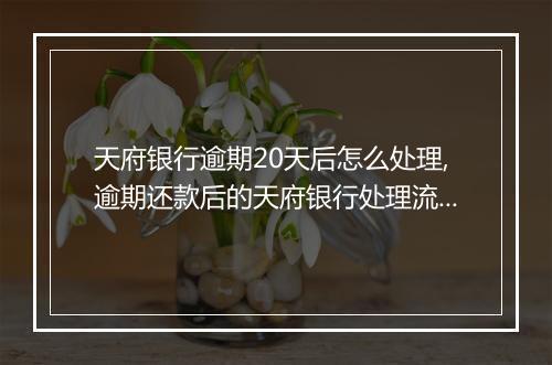 天府银行逾期20天后怎么处理,逾期还款后的天府银行处理流程