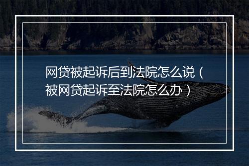 网贷被起诉后到法院怎么说（被网贷起诉至法院怎么办）