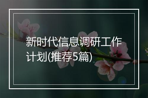 新时代信息调研工作计划(推荐5篇)