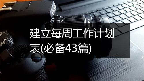 建立每周工作计划表(必备43篇)