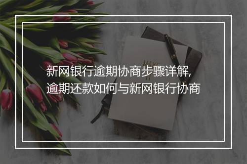 新网银行逾期协商步骤详解,逾期还款如何与新网银行协商