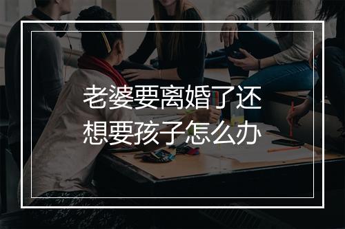 老婆要离婚了还想要孩子怎么办