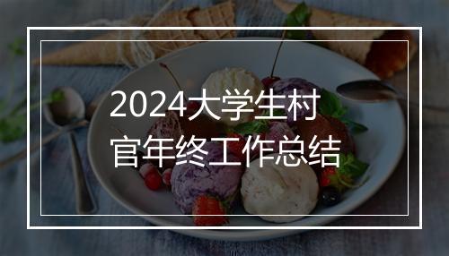 2024大学生村官年终工作总结