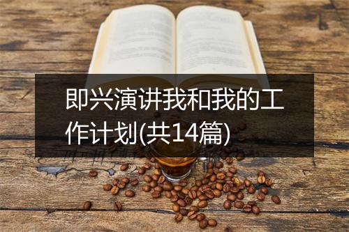 即兴演讲我和我的工作计划(共14篇)
