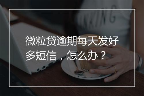 微粒贷逾期每天发好多短信，怎么办？