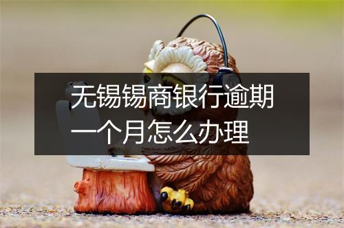 无锡锡商银行逾期一个月怎么办理