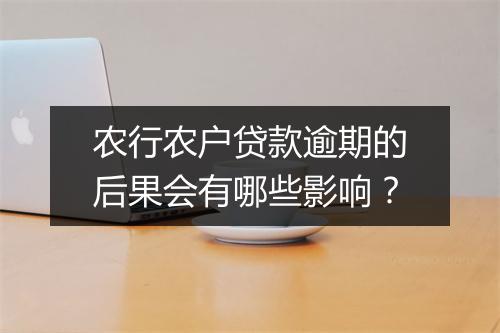 农行农户贷款逾期的后果会有哪些影响？