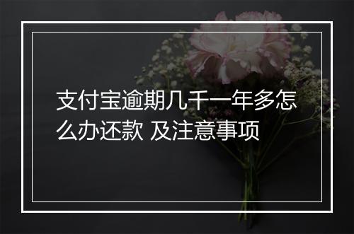 支付宝逾期几千一年多怎么办还款 及注意事项