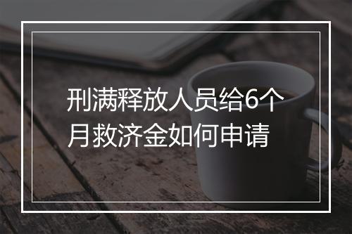 刑满释放人员给6个月救济金如何申请
