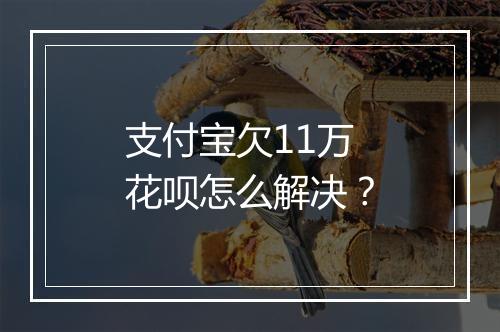 支付宝欠11万花呗怎么解决？