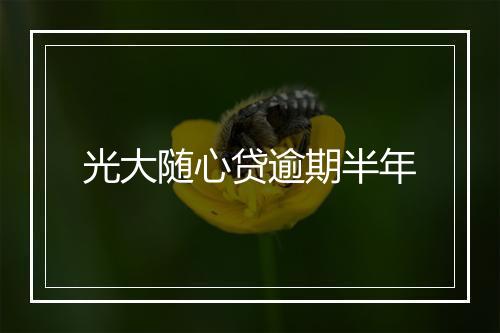 光大随心贷逾期半年
