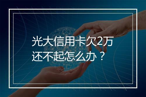 光大信用卡欠2万还不起怎么办？