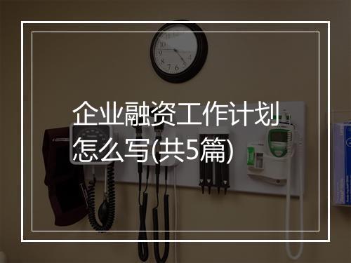 企业融资工作计划怎么写(共5篇)