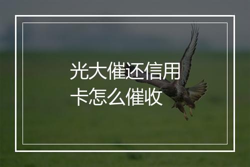 光大催还信用卡怎么催收
